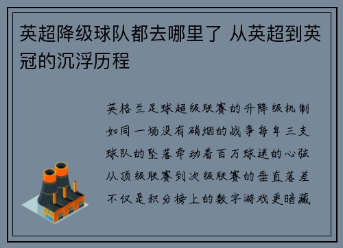 英超降级球队都去哪里了 从英超到英冠的沉浮历程